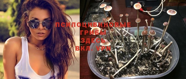 соль ск Лихославль