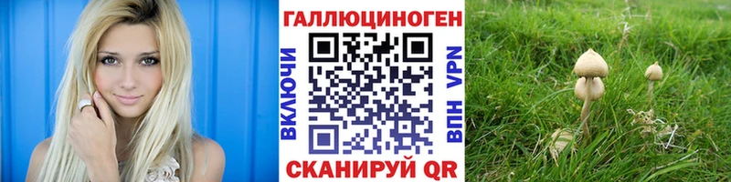 Галлюциногенные грибы Psilocybine cubensis  Купить где  Ессентукская 